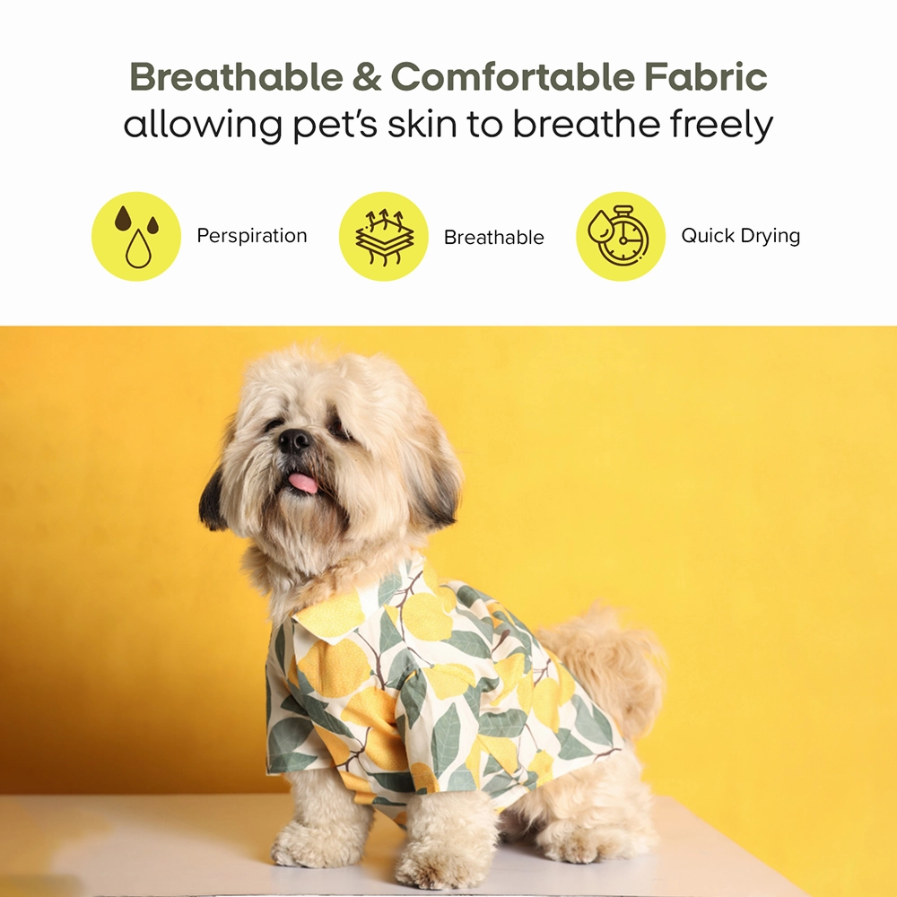 15buttons Limon Shirt for Dogs