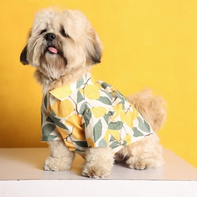 15buttons Limon Shirt for Dogs