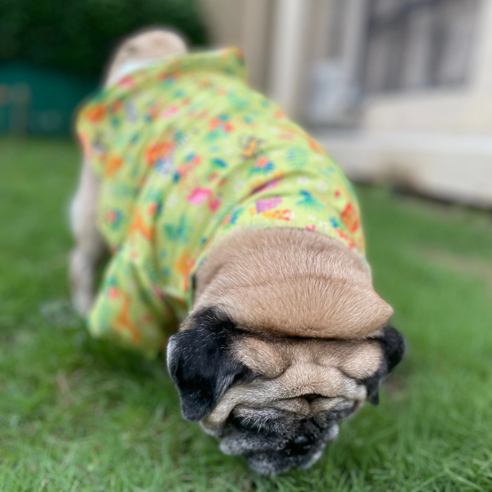15buttons Madagascar Shirt for Dogs