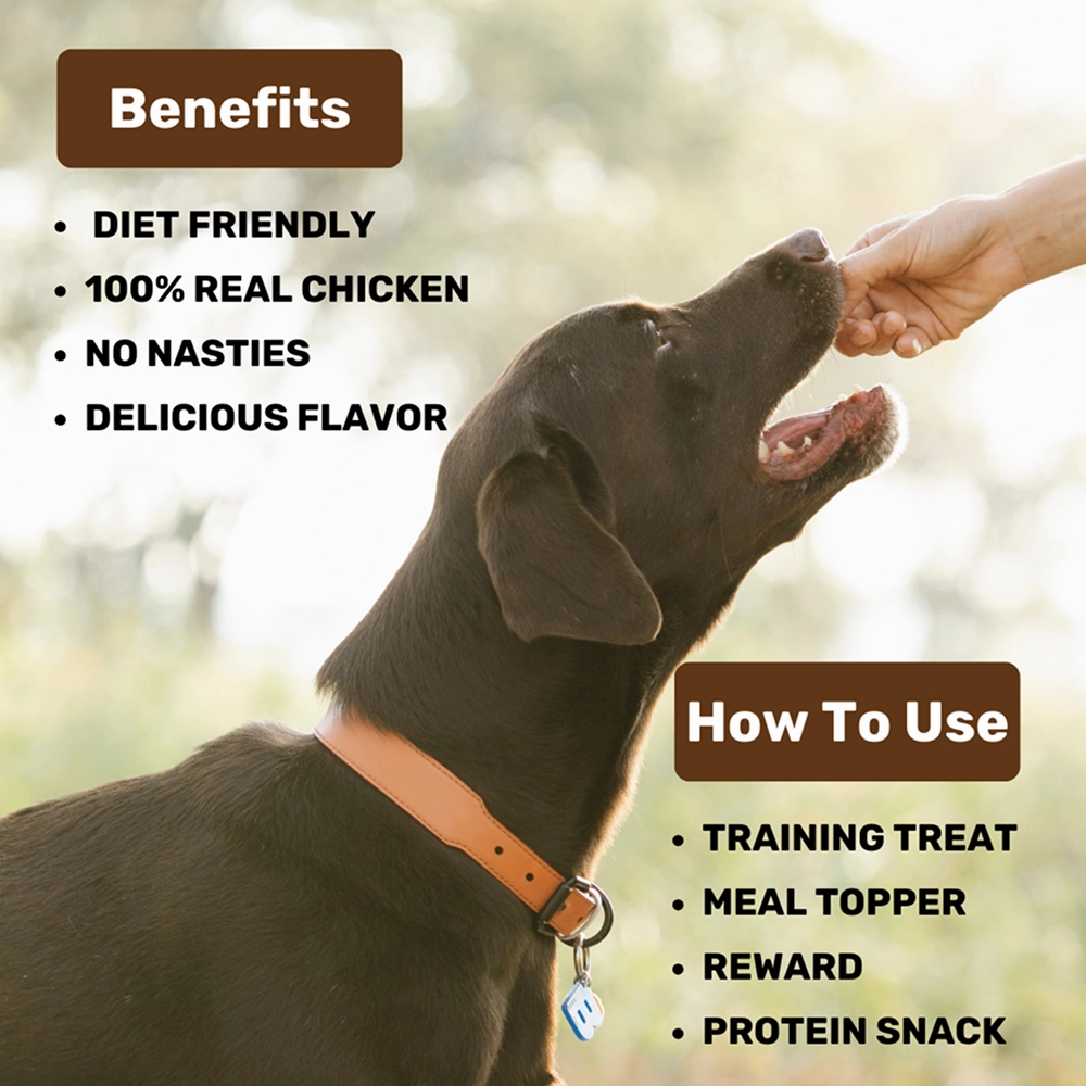 Absolut Pet High Protein Low Fat Chicken Jerky Treats for Dogs