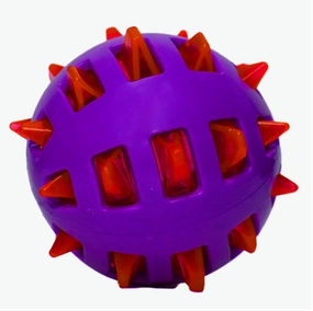 Basil Squeaky Rubber Ball Toy for Dogs