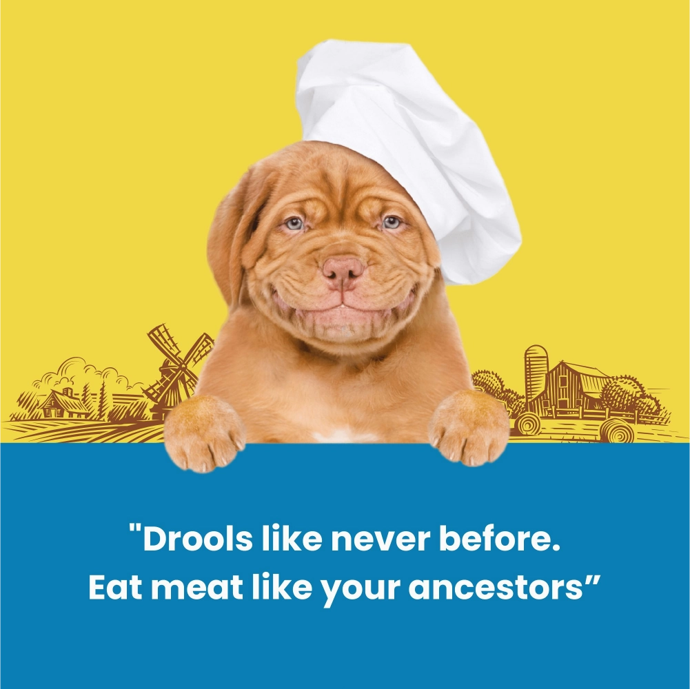 Dogfest Lamb Meat Sticks Dog Treats