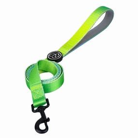 Everking Fancy Dog Leash - Green - Small
