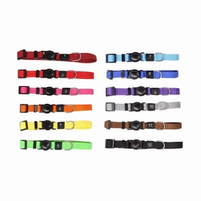 Everyday Nylon Dog Collar - Small (18-26cm)