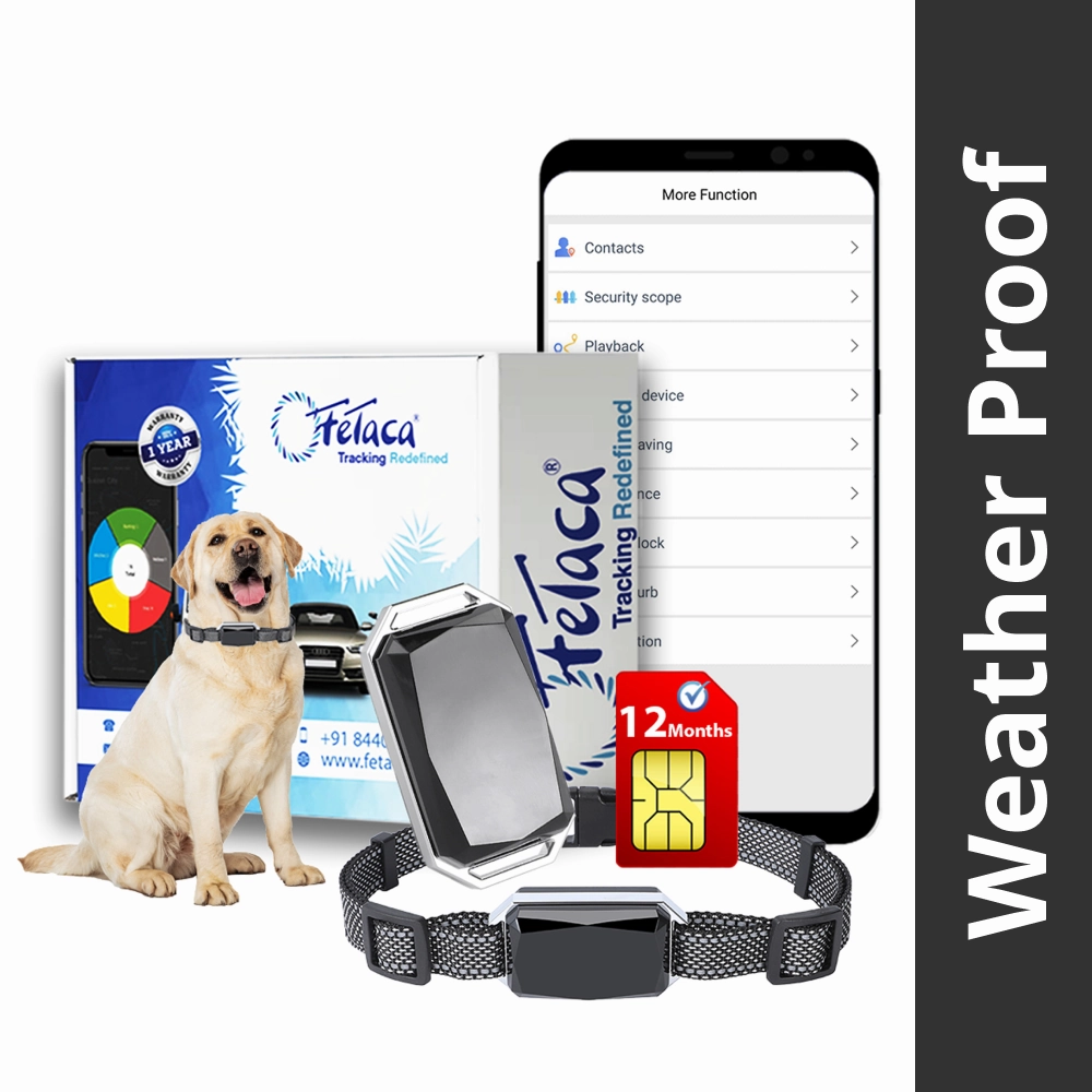 FeTaca Smart 4G Waterproof GPS Tracker & Activity with Lifetime Free Tracking & 1 Year Data SIM Subscription for Dogs & Cats (Black)