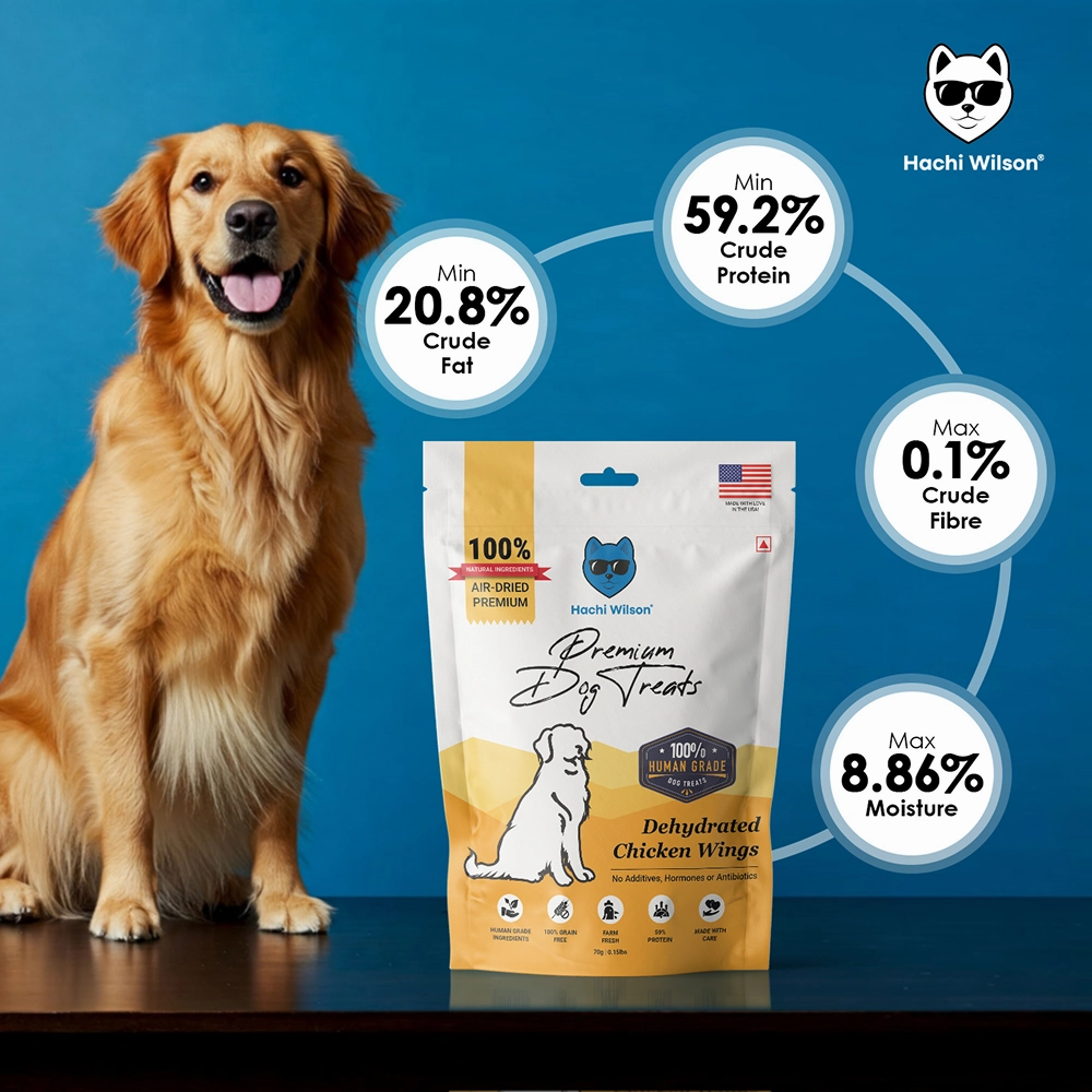 Hachi Wilson Premium Dehydrated Chicken Wings Jerky Dog Treat