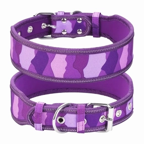 Heavy Duty Dog Collar - Purple (M)