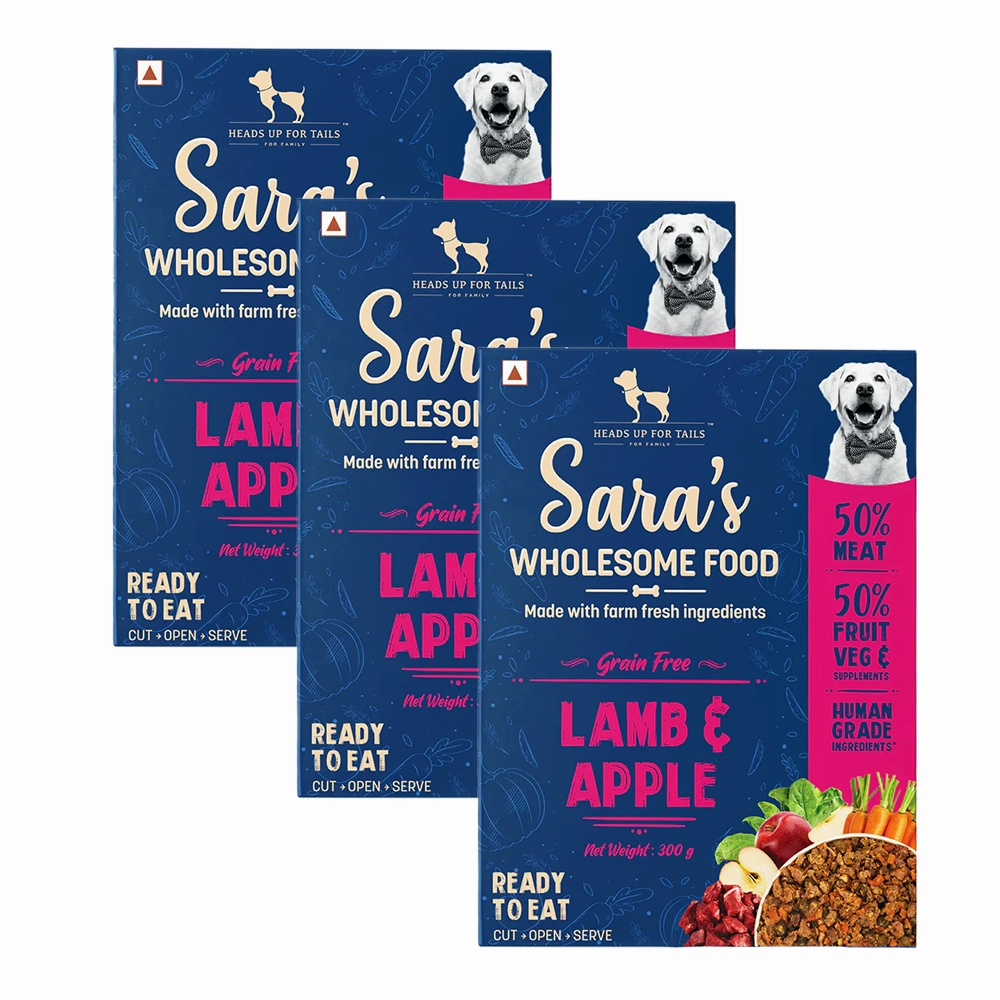 HUFT Sara's Wholesome Grain Free Lamb & Apple Dog Wet Food