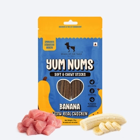 HUFT Yum Nums Banana with Real Chicken Soft & Chewy Sticks Dog Treats