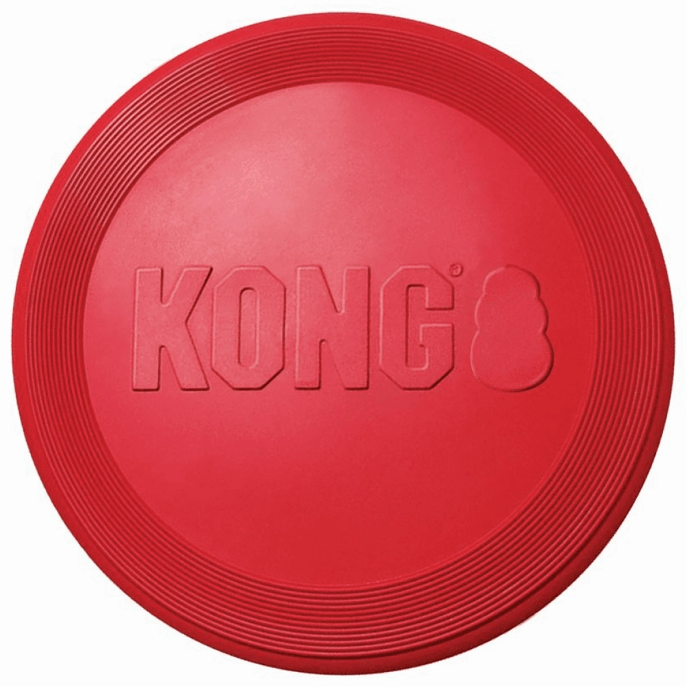 Kong Flyer Toy for Dogs