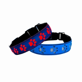 LED Dog Collar - Blue (L)
