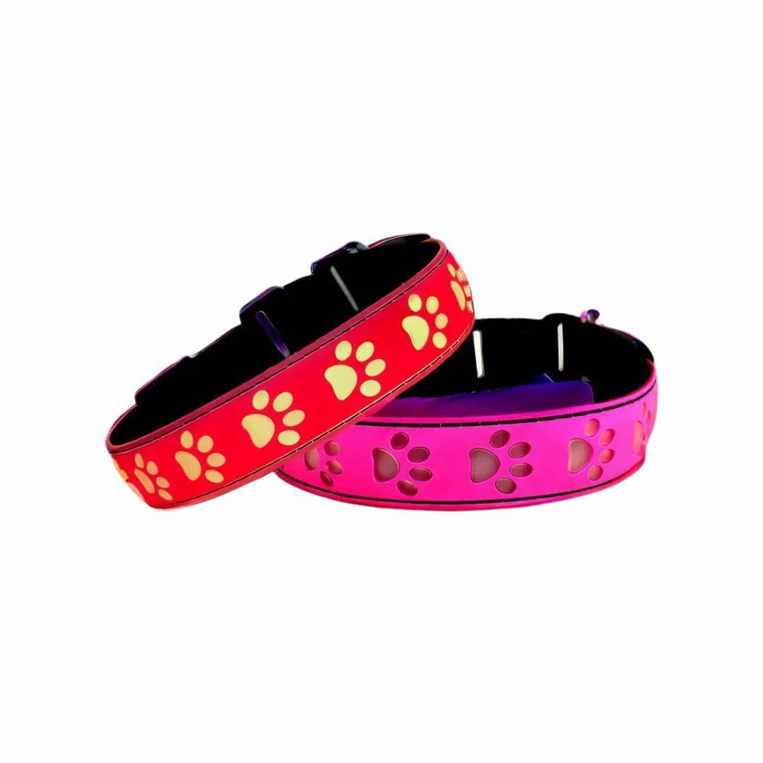 LED Dog Collar - Pink (XL)