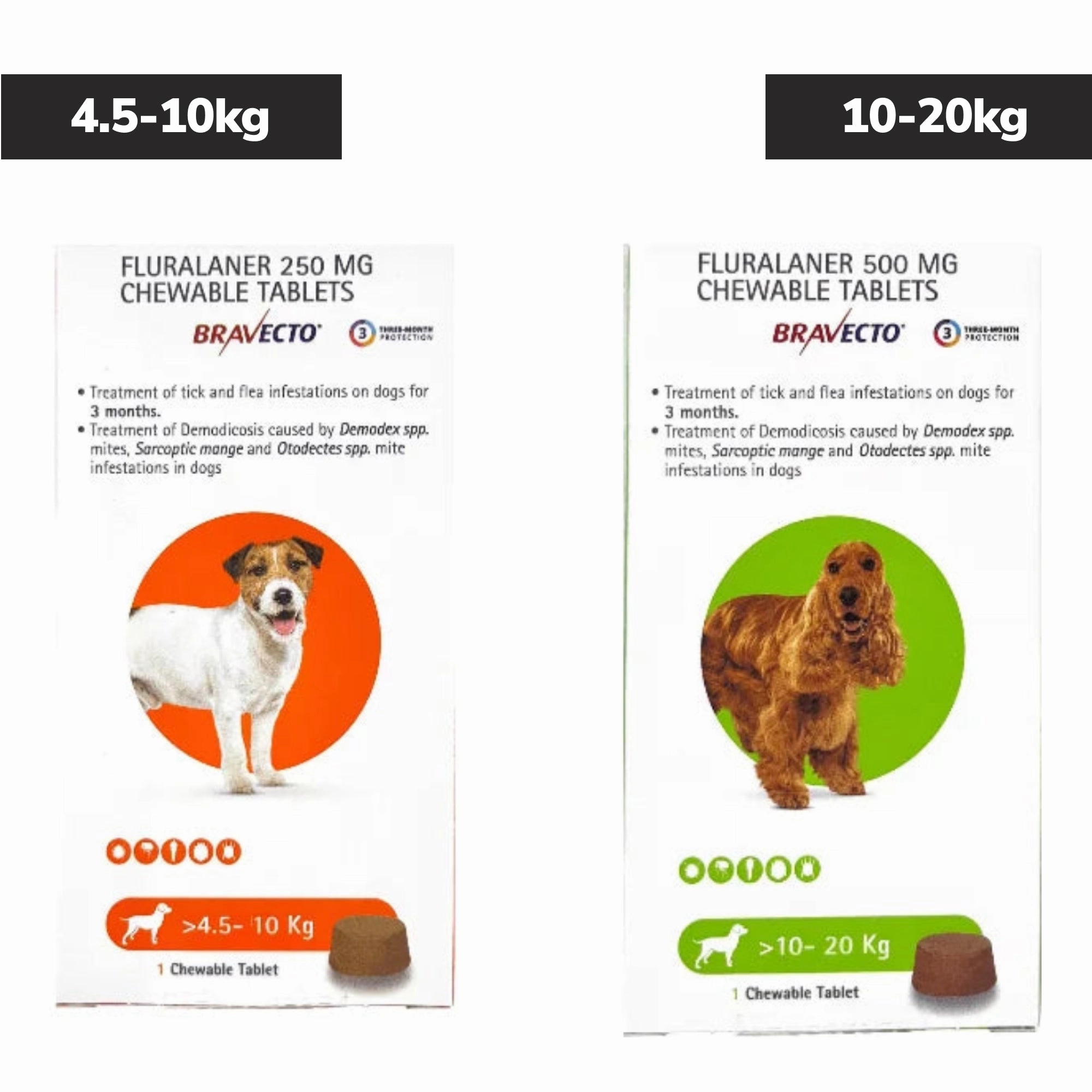 MSD Bravecto Tick & Flea Control Tablet for Dogs 4.5 to 10 kg (1 Tablet) and 10 to 20 kg (1 Tablet) Combo
