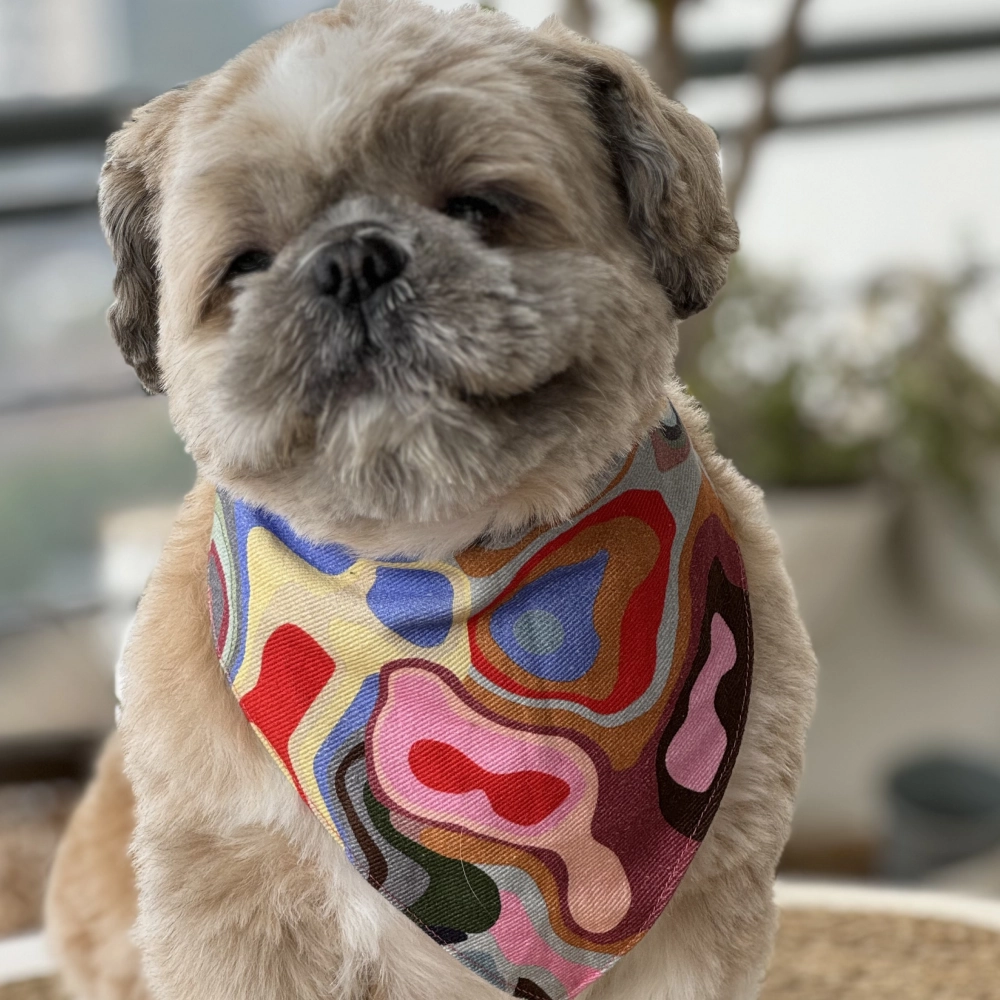 Pawgypets Bandana for Dogs and Cats (Multi Color)