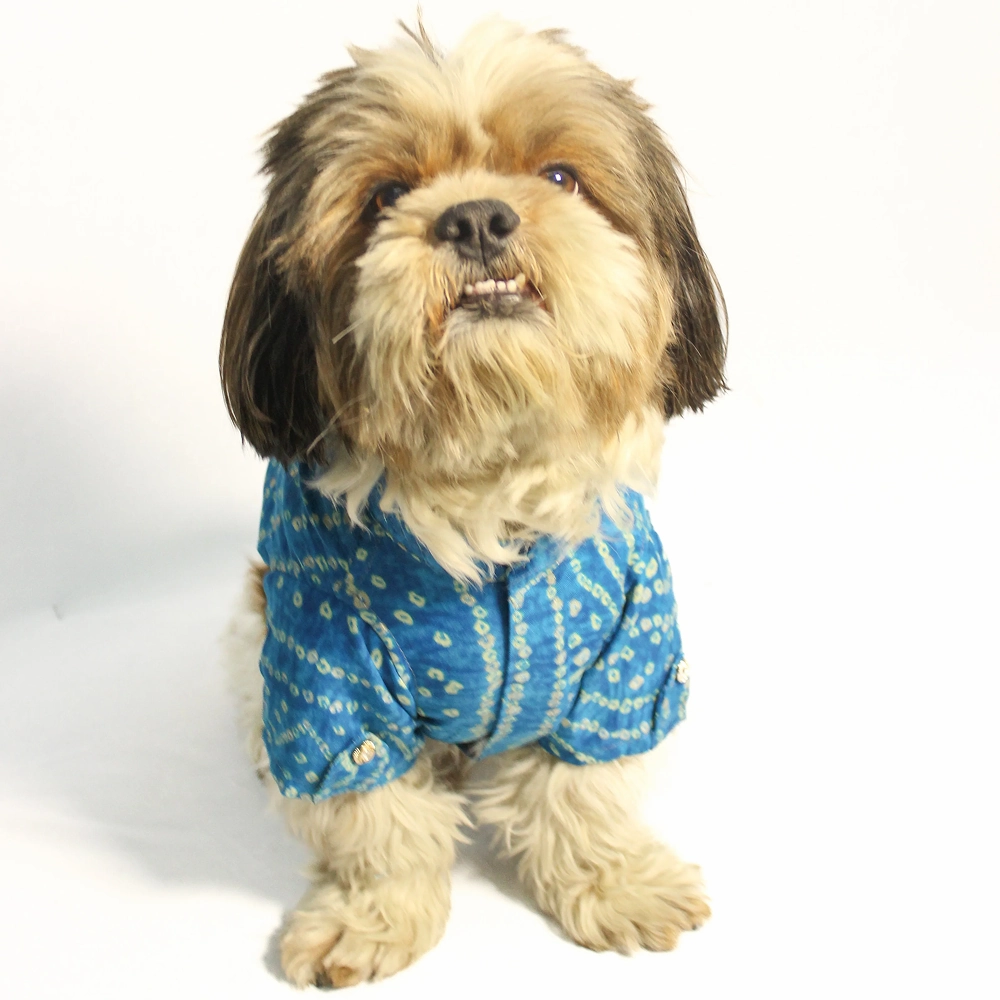 Pawgypets Bandani Kurta for Dogs (Blue)
