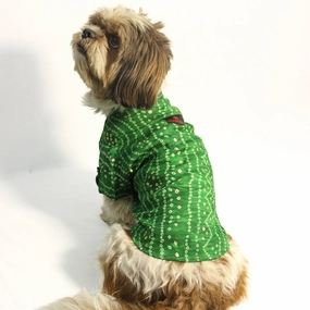 Pawgypets Bandani Kurta for Dogs (Green)
