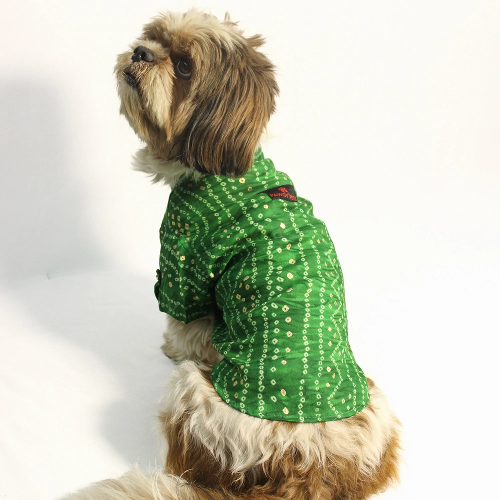 Pawgypets Bandani Kurta for Dogs (Green)