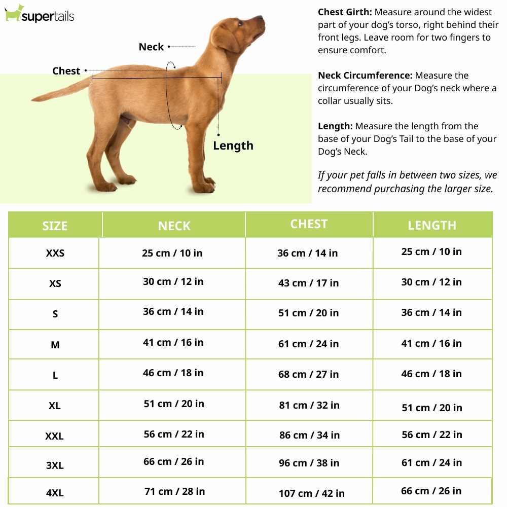 Pawgypets Bandani Kurta for Dogs (Green)