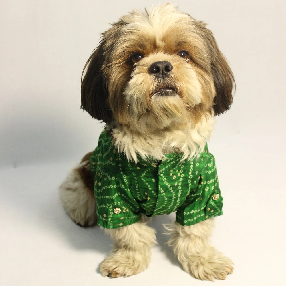 Pawgypets Bandani Kurta for Dogs (Green)