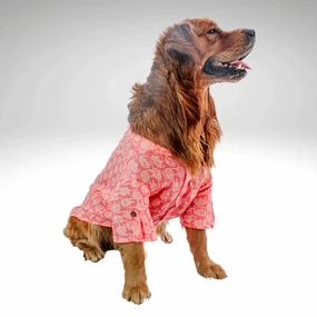 Pawgypets Block Print Kurta for Dogs (Peach)