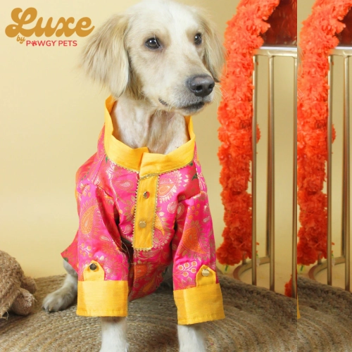 Pawgypets Luxe Barcade Kurta for Dogs and Cats (Pink)