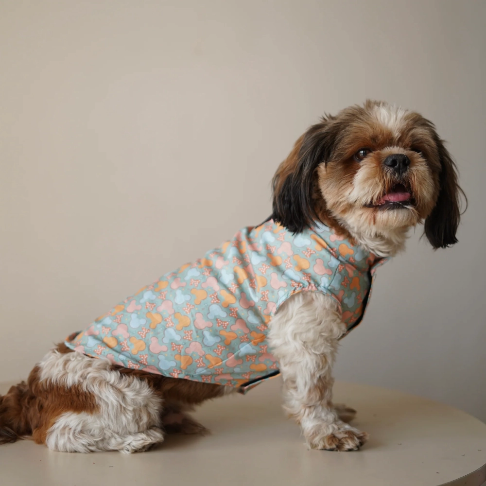 Pawgypets Mickey Overloaded Sando for Dogs (Pastel Green)
