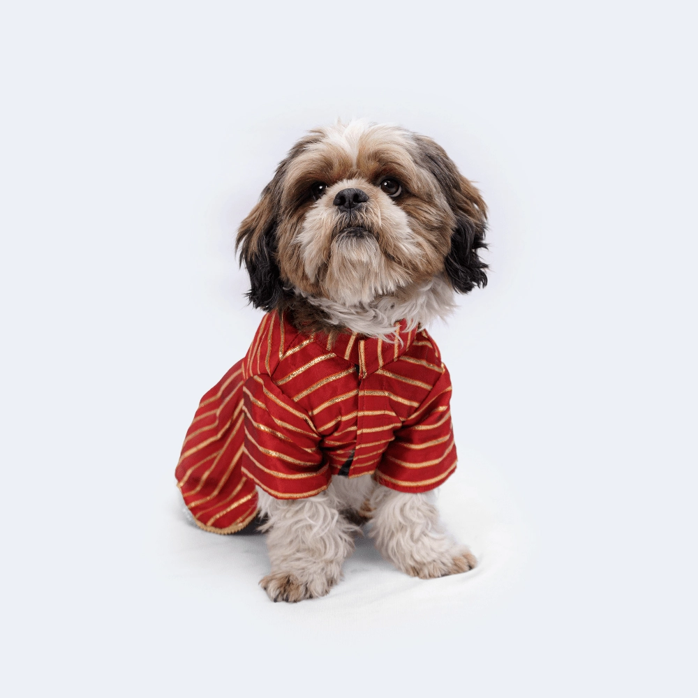Pawgypets Occasion Wear Gota Dress for Dogs and Cats (Red)