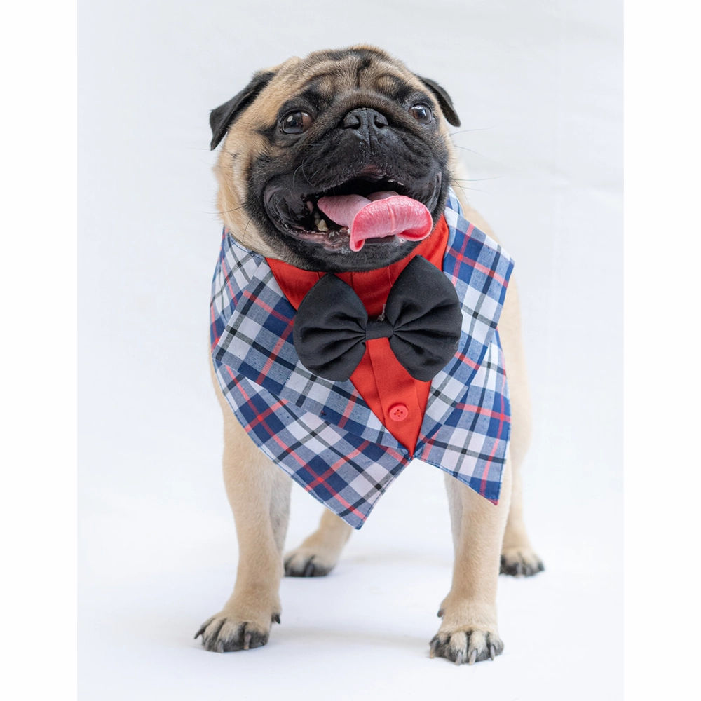 Pawgypets Waistcoat Bandana for Dogs and Cats (Blue)