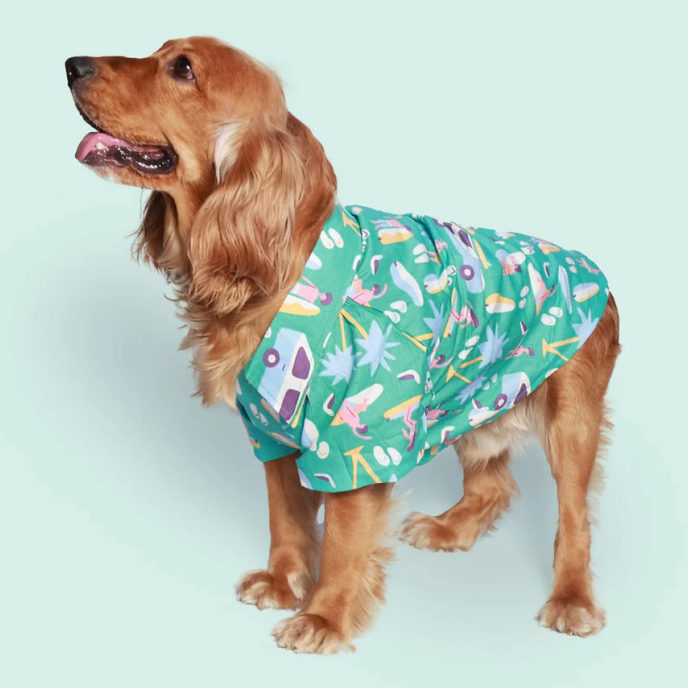Pet Set Go Beach Club Cotton Shirt for Dogs (Blue)