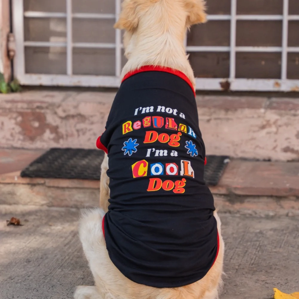 Pet Set Go I??m Not a Regular Dog T shirt for Dogs (Black)