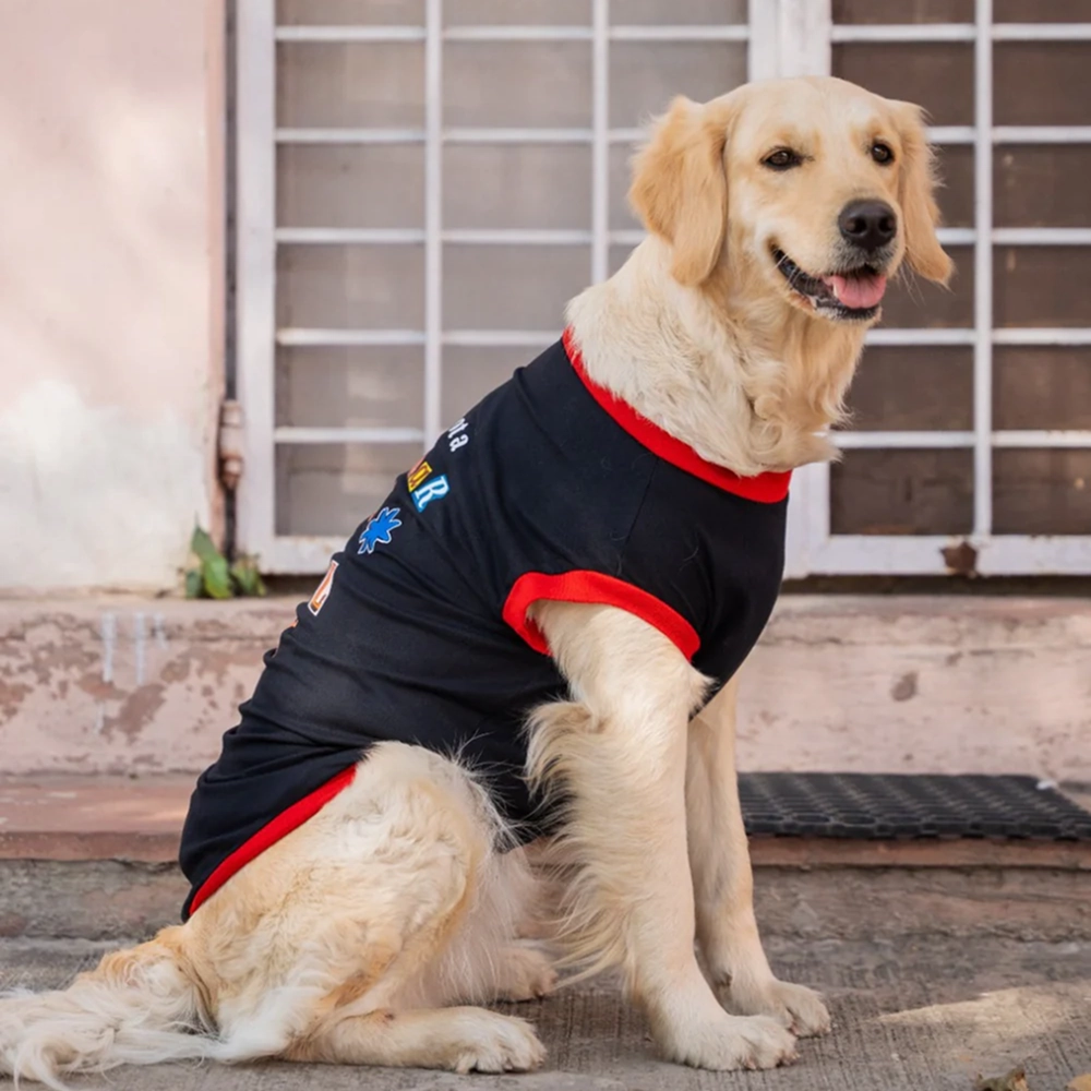 Pet Set Go I??m Not a Regular Dog T shirt for Dogs (Black)
