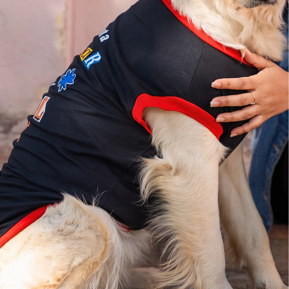 Pet Set Go I??m Not a Regular Dog T shirt for Dogs (Black)