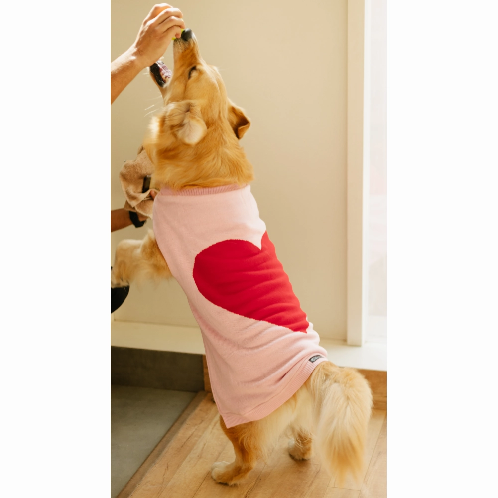 Pet Set Go Ira??s Sweater for Dogs and Cats (Red & Pink)