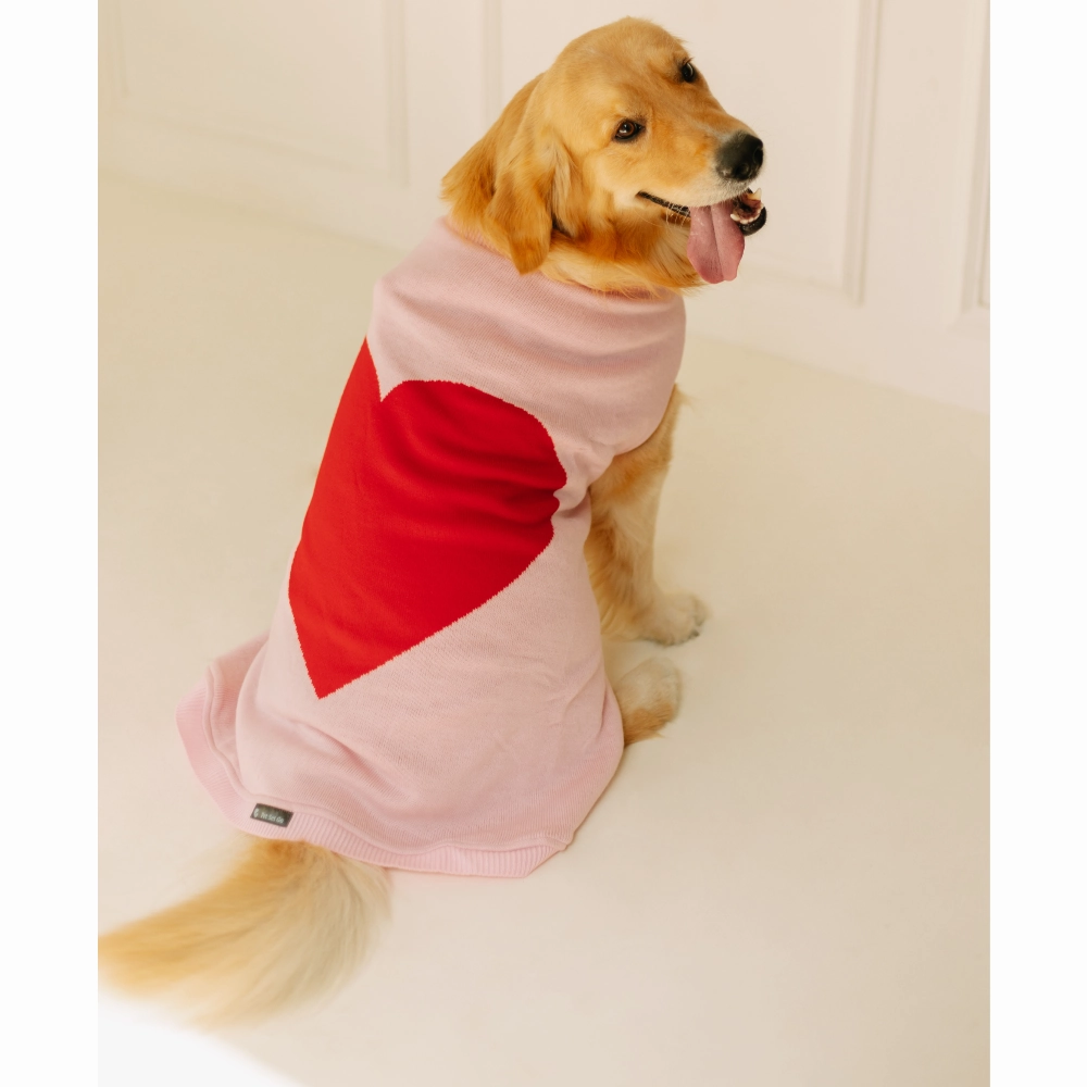 Pet Set Go Ira??s Sweater for Dogs and Cats (Red & Pink)