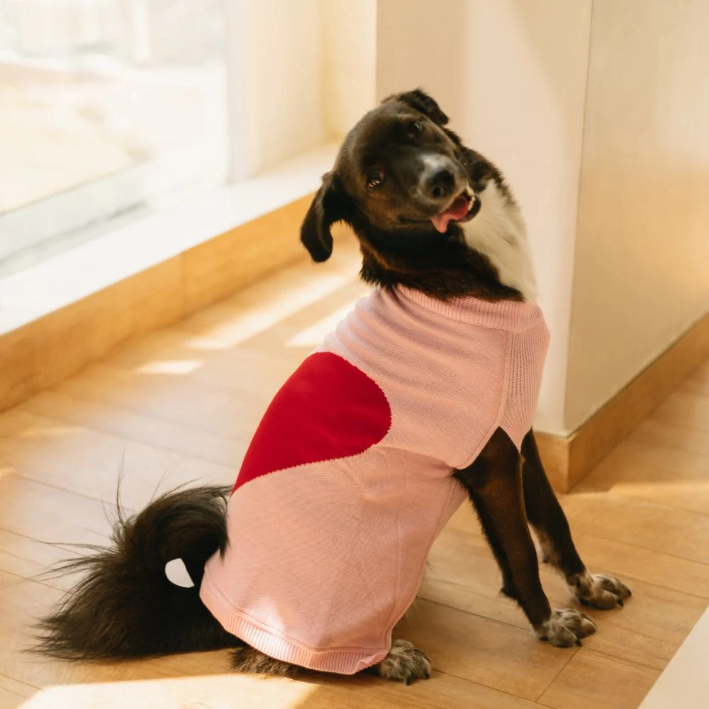 Pet Set Go Ira??s Sweater for Dogs and Cats (Red & Pink)