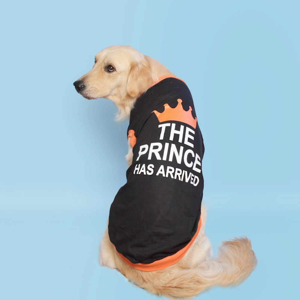 Pet Set Go Prince has Arrived T-shirt for Dogs (Black)