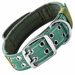 Premium Tactical Dog Collar - Green (L)
