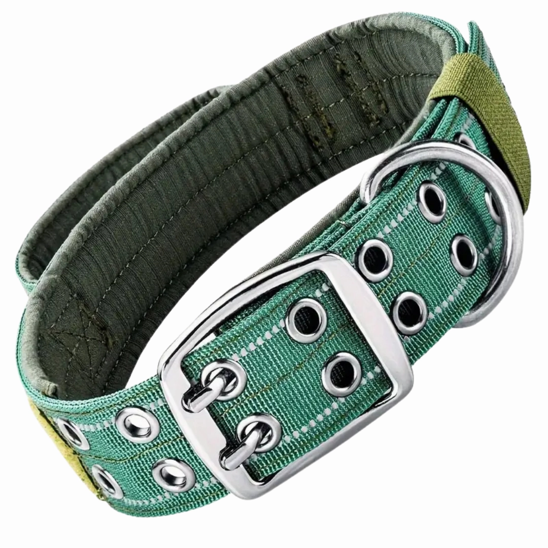 Premium Tactical Dog Collar - Green (L)