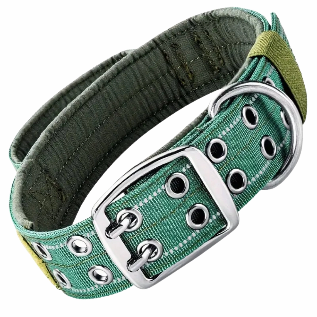 Premium Tactical Dog Collar - Green (XL)