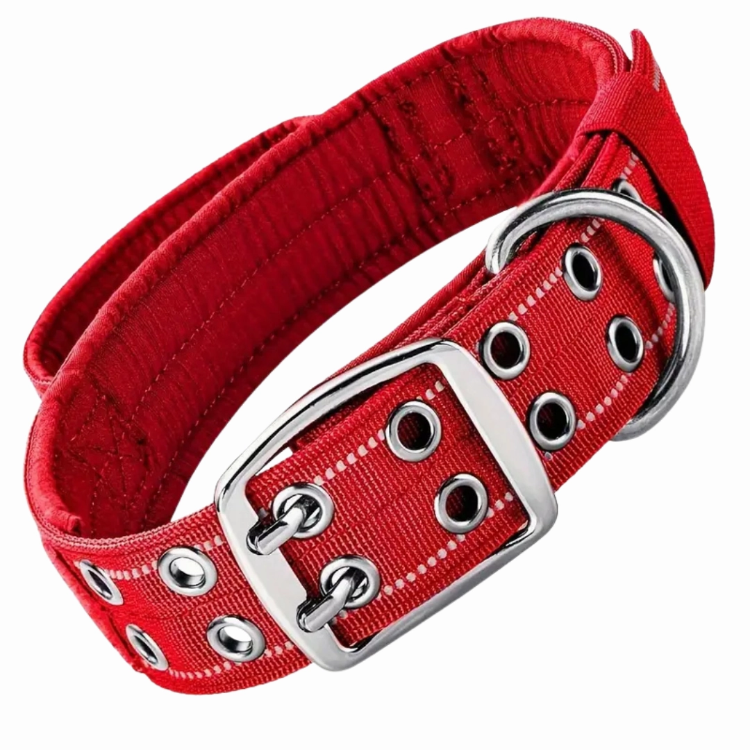 Premium Tactical Dog Collar - Red (L)