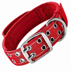 Premium Tactical Dog Collar - Red (L)