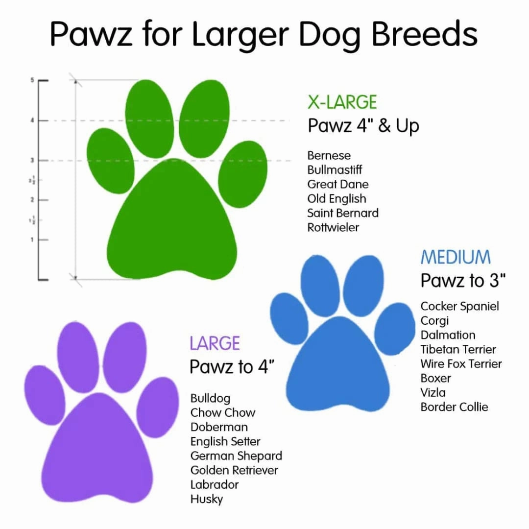 Protex PawZ Disposable and Reusable Boots for Dogs (Black)