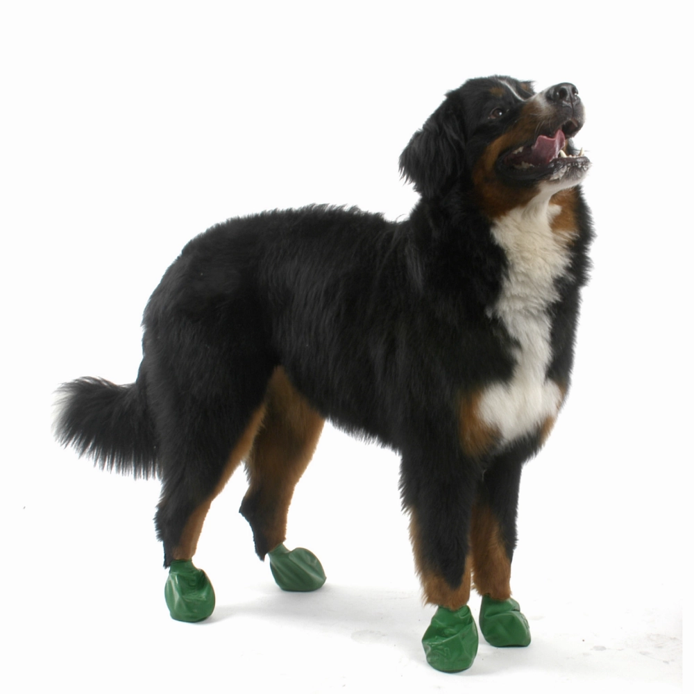 Protex PawZ Disposable and Reusable Boots for Dogs (Green)