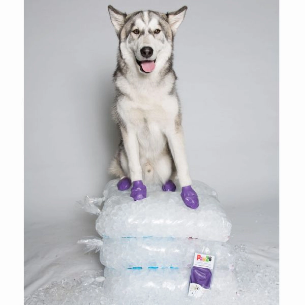Protex PawZ Disposable and Reusable Boots for Dogs (Purple)