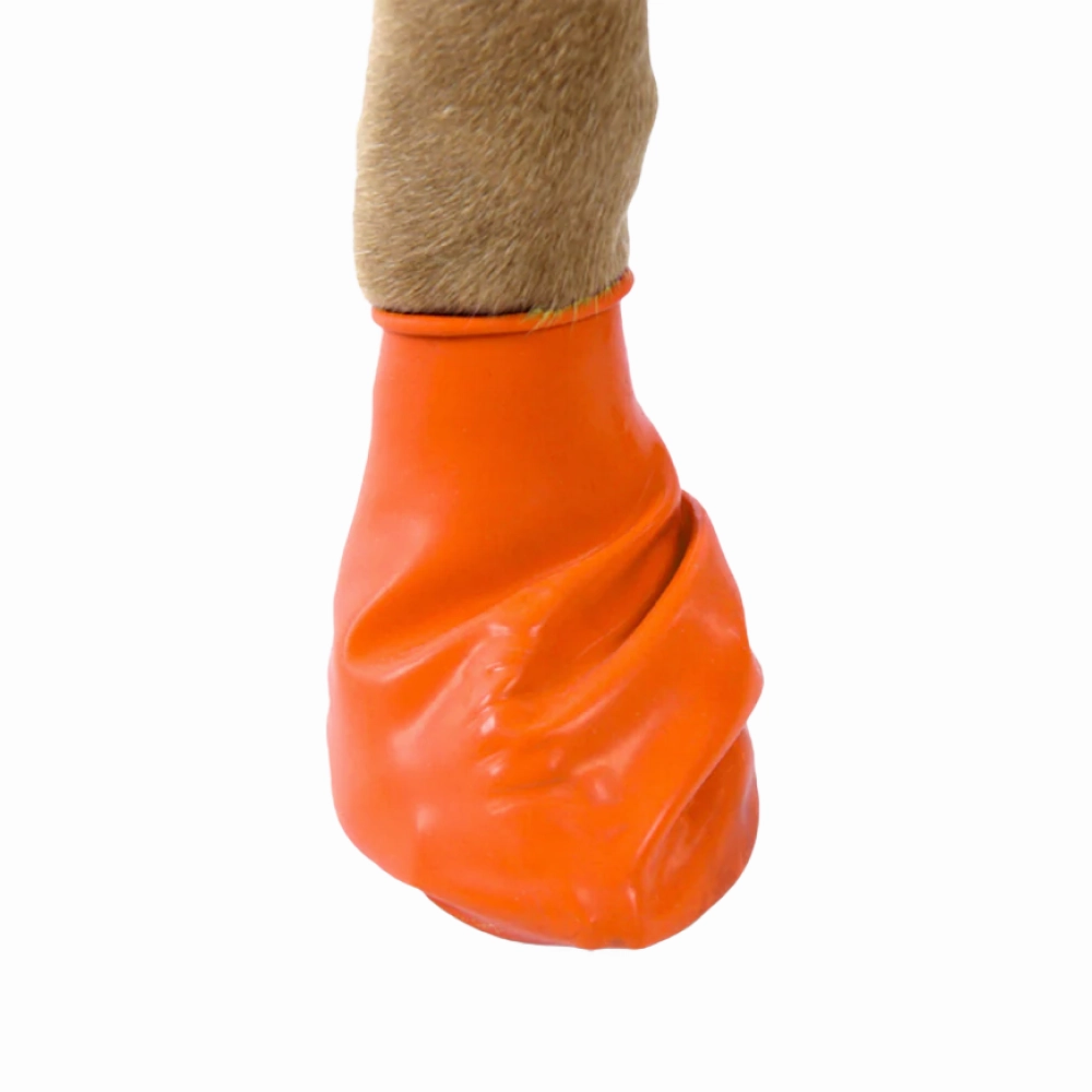 Protex PawZ Disposable and Reusable Bootz for Dogs (Orange)