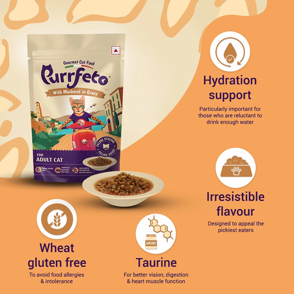 Purrfeto Mackerel in Gravy Adult Cat Wet Food