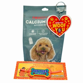 Raksha Bandhan Treat Combo for Dogs by Pawgypets