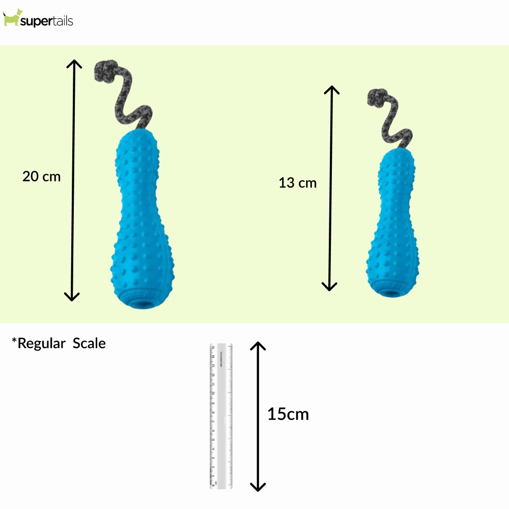 Ruffwear Gourdo Rubber Throw Toy for Dogs (Metolius Blue)