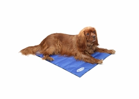 Scruffs Cool Mat - Medium