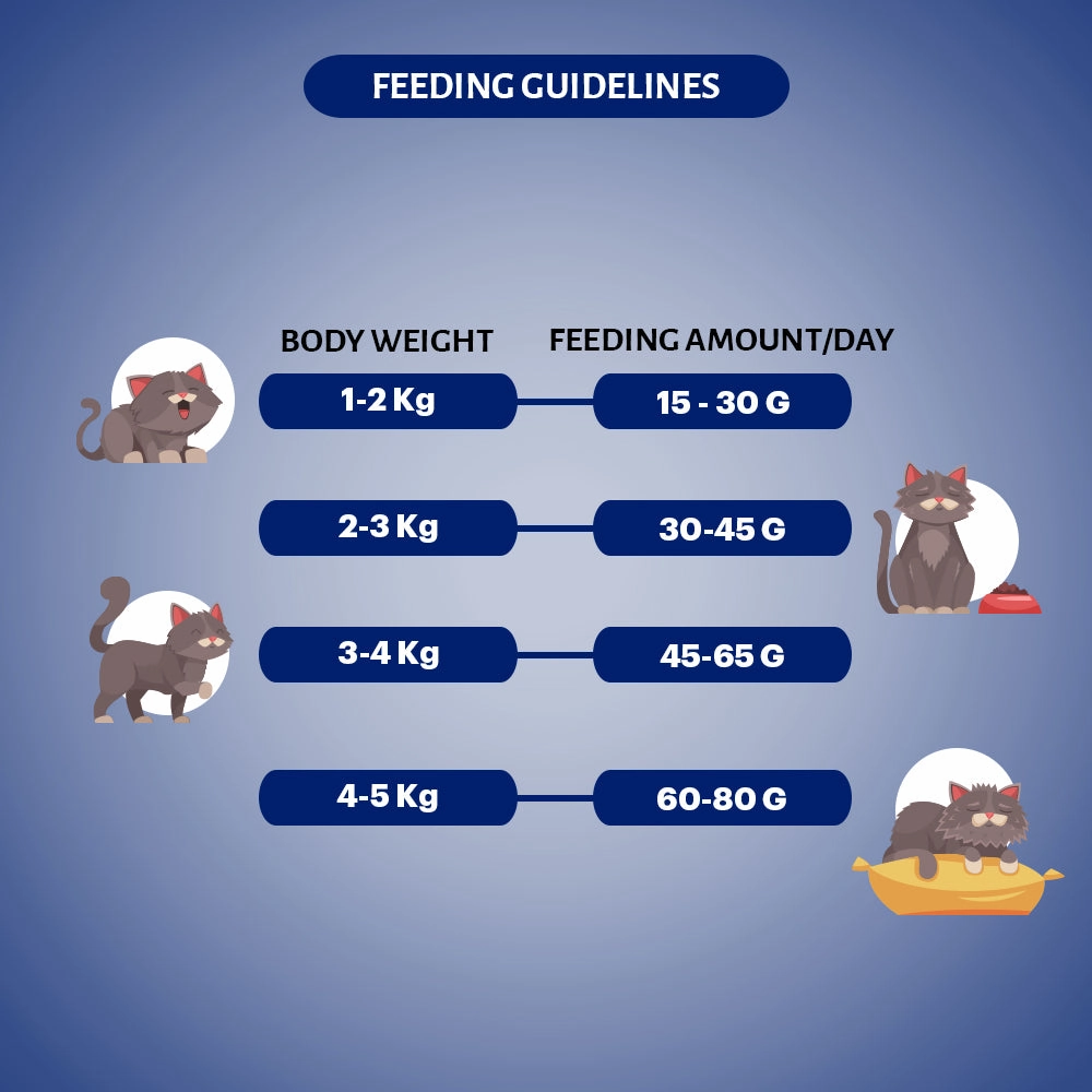 Signature Grain Zero Seafood Adult All Breed Adult Cat Dry Food